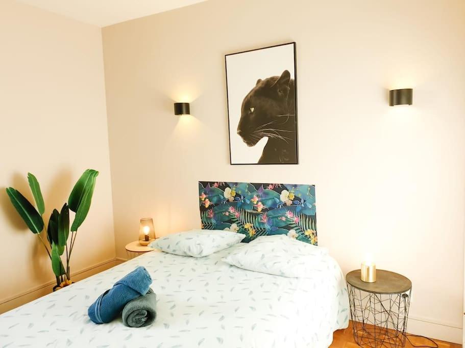 Cosy Mure 4Ch - Stationnement Gratuit Pau Ngoại thất bức ảnh